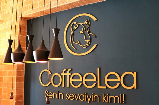 Daxili reklam daşıyıcıları