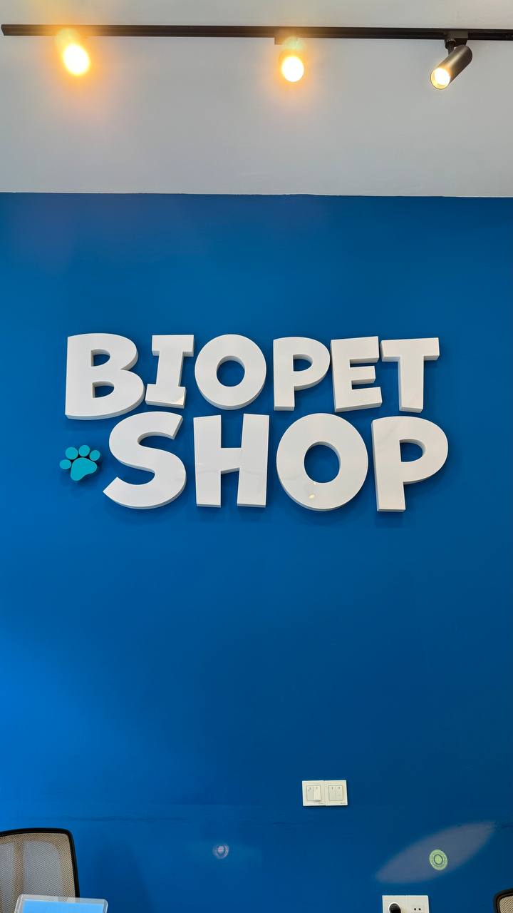 Qabarı işıqlı və işıqsız hərflər layihəsi