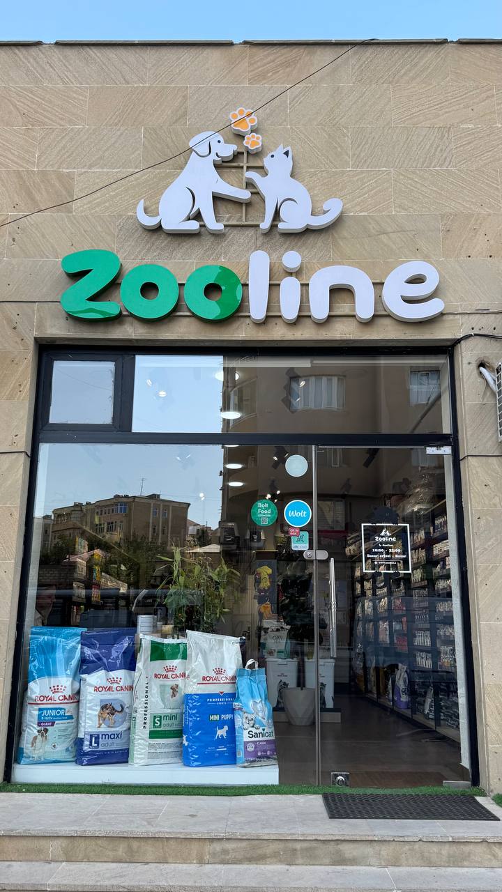 Qabarı işıqlı və işıqsız hərflər layihəsi