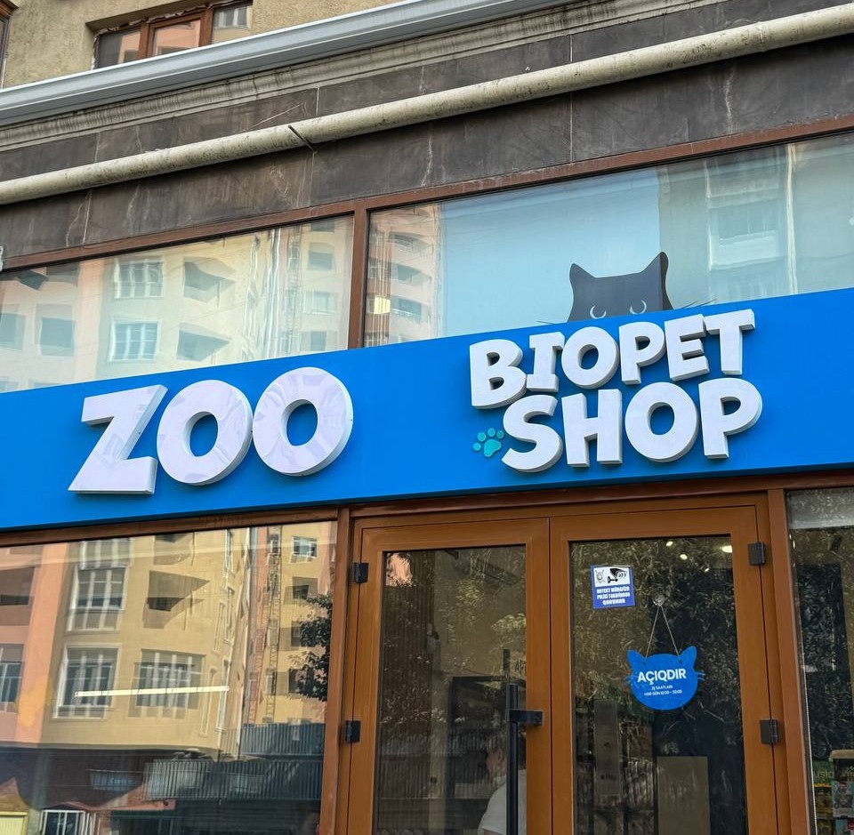 Qabarı işıqlı və işıqsız hərflər layihəsi